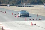 DSC_3690