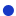 blue circle icon